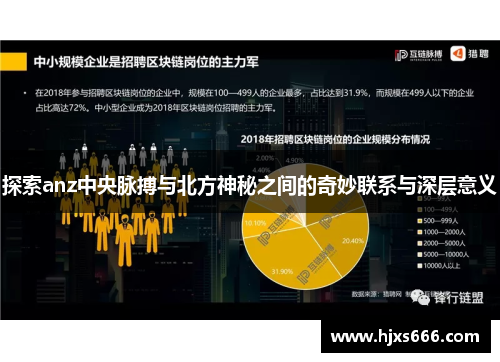 探索anz中央脉搏与北方神秘之间的奇妙联系与深层意义